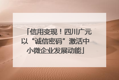 信用变现！四川广元以“诚信密码”激活中小微企业发展动能