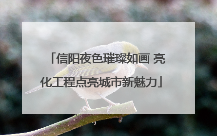 信阳夜色璀璨如画 亮化工程点亮城市新魅力