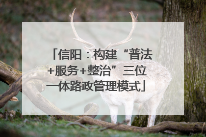 信阳：构建“普法+服务+整治”三位一体路政管理模式