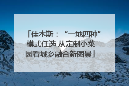 佳木斯：“一地四种” 模式任选 从定制小菜园看城乡融合新图景