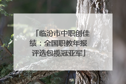 临汾市中职创佳绩：全国职教年报评选包揽冠亚军