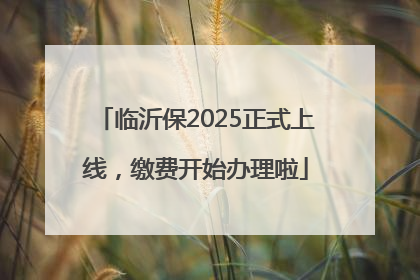 临沂保2025正式上线，缴费开始办理啦