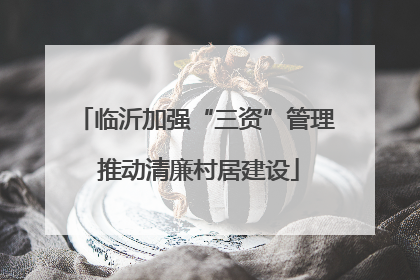 临沂加强“三资”管理 推动清廉村居建设