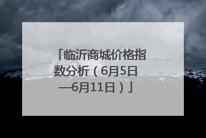 临沂商城价格指数分析（6月5日—6月11日）