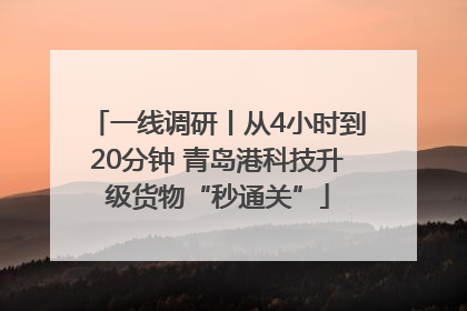 一线调研丨从4小时到20分钟 青岛港科技升级货物“秒通关”