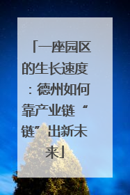 一座园区的生长速度：德州如何靠产业链“链”出新未来