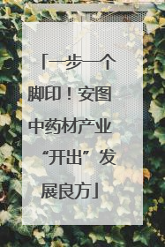 一步一个脚印！安图中药材产业“开出”发展良方