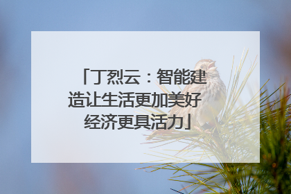 丁烈云：智能建造让生活更加美好 经济更具活力