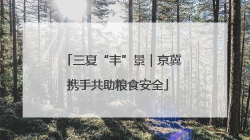 三夏“丰”景｜京冀携手共助粮食安全