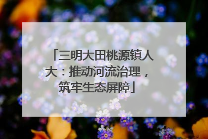 三明大田桃源镇人大：推动河流治理，筑牢生态屏障