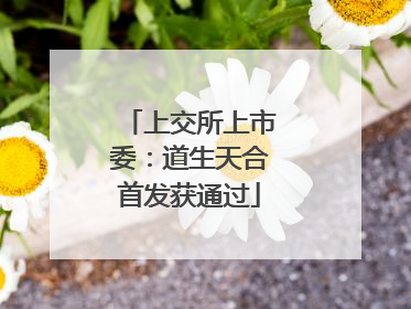 上交所上市委：道生天合首发获通过