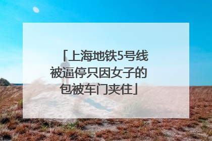 上海地铁5号线被逼停只因女子的包被车门夹住