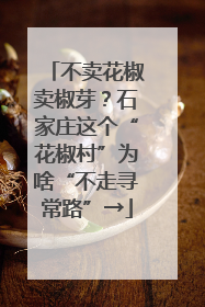 不卖花椒卖椒芽？石家庄这个“花椒村”为啥“不走寻常路”→