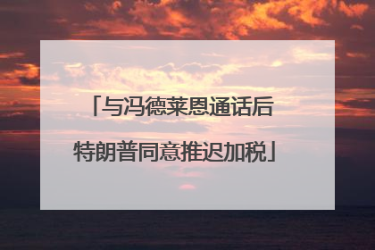 与冯德莱恩通话后 特朗普同意推迟加税