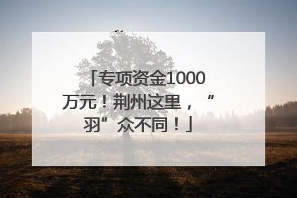 专项资金1000万元！荆州这里，“羽”众不同！