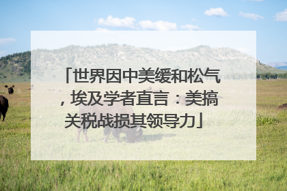 世界因中美缓和松气，埃及学者直言：美搞关税战损其领导力
