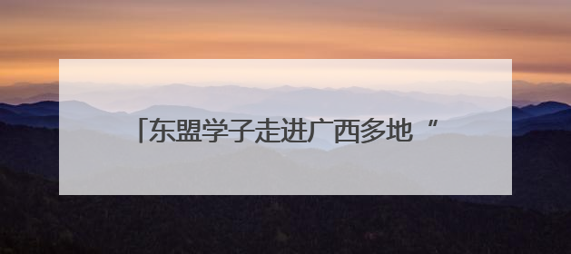 东盟学子走进广西多地“沉浸式”感知中国式民主