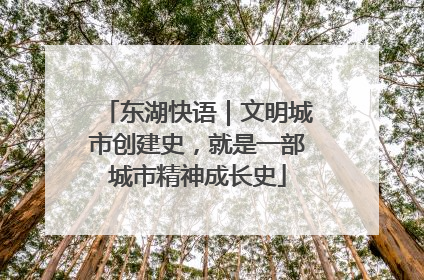 东湖快语｜文明城市创建史，就是一部城市精神成长史