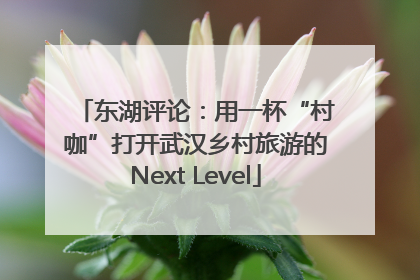 东湖评论：用一杯“村咖”打开武汉乡村旅游的Next Level