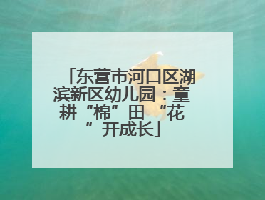 东营市河口区湖滨新区幼儿园：童耕“棉”田 “花”开成长