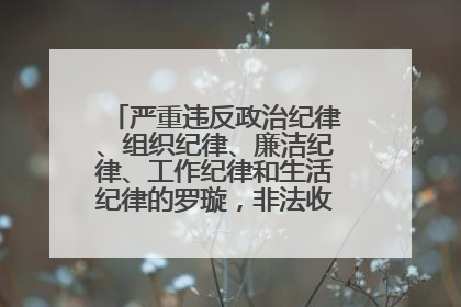 严重违反政治纪律、组织纪律、廉洁纪律、工作纪律和生活纪律的罗璇，非法收受他人巨额财物