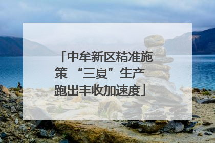 中牟新区精准施策 “三夏”生产跑出丰收加速度