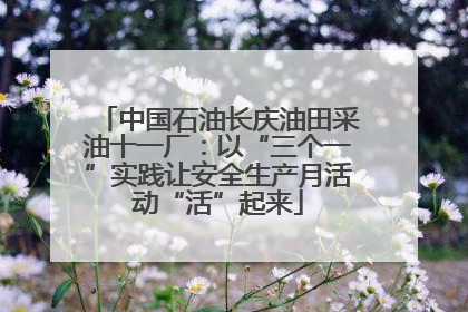 中国石油长庆油田采油十一厂：以“三个一”实践让安全生产月活动“活”起来