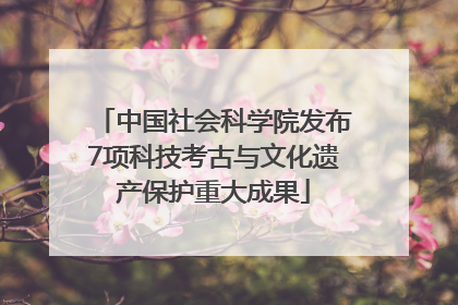 中国社会科学院发布7项科技考古与文化遗产保护重大成果