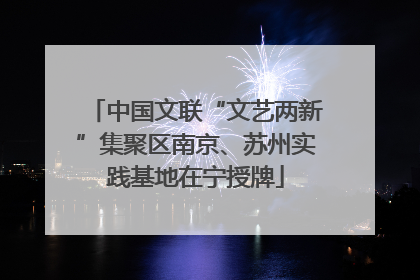 中国文联“文艺两新”集聚区南京、苏州实践基地在宁授牌