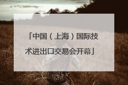 中国（上海）国际技术进出口交易会开幕