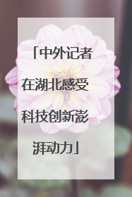 中外记者在湖北感受科技创新澎湃动力