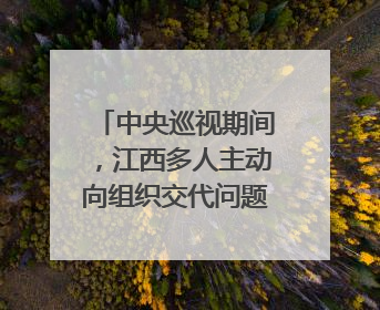 中央巡视期间，江西多人主动向组织交代问题｜打虎拍蝇