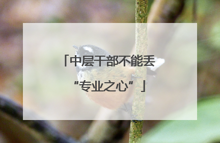 中层干部不能丢“专业之心”