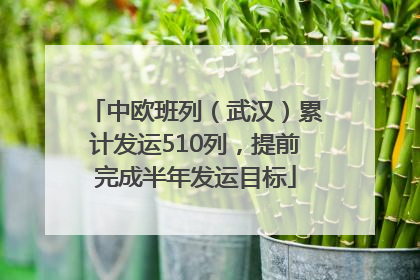 中欧班列（武汉）累计发运510列，提前完成半年发运目标
