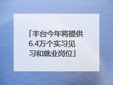 丰台今年将提供6.4万个实习见习和就业岗位