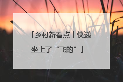 乡村新看点丨快递坐上了“飞的”