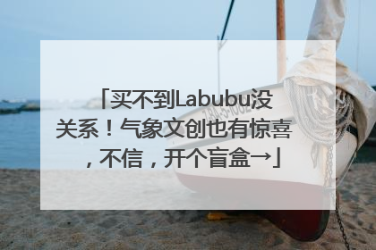 买不到Labubu没关系！气象文创也有惊喜，不信，开个盲盒→