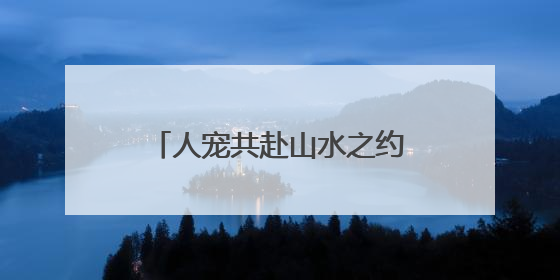 人宠共赴山水之约！第五届济南携宠徒步大会圆满举行