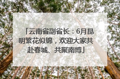 云南省副省长：6月昆明繁花似锦，欢迎大家共赴春城、共聚南博