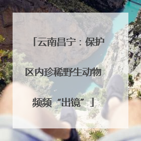 云南昌宁：保护区内珍稀野生动物频频“出镜”