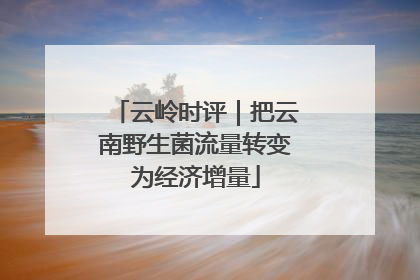 云岭时评｜把云南野生菌流量转变为经济增量