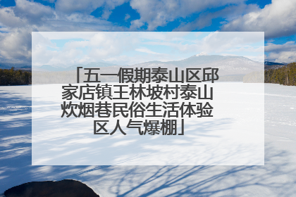五一假期泰山区邱家店镇王林坡村泰山炊烟巷民俗生活体验区人气爆棚