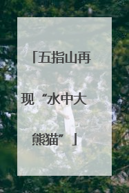五指山再现“水中大熊猫”