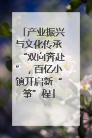 产业振兴与文化传承“双向奔赴”，百亿小镇开启新“筝”程