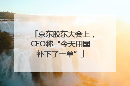 京东股东大会上，CEO称“今天用国补下了一单”