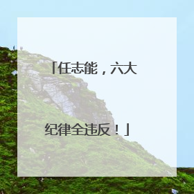 任志能，六大纪律全违反！