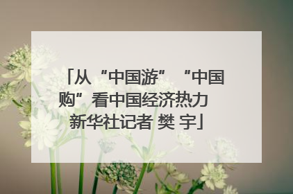 从“中国游”“中国购”看中国经济热力 新华社记者 樊 宇
