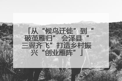 从“候鸟迁徙”到“破茧雁归” 会泽县“三翼齐飞”打造乡村振兴“创业雁阵”
