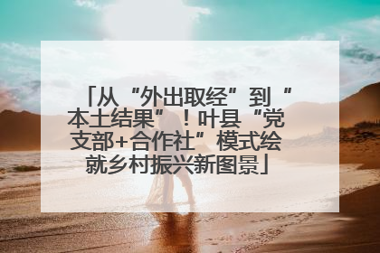 从“外出取经”到“本土结果”！叶县“党支部+合作社”模式绘就乡村振兴新图景