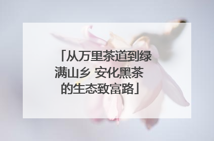 从万里茶道到绿满山乡 安化黑茶的生态致富路